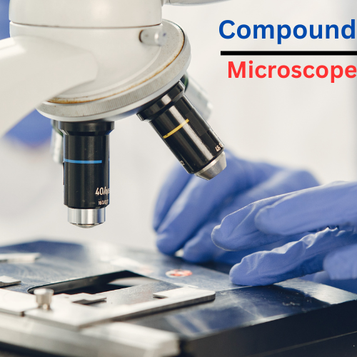 Compound Microscope